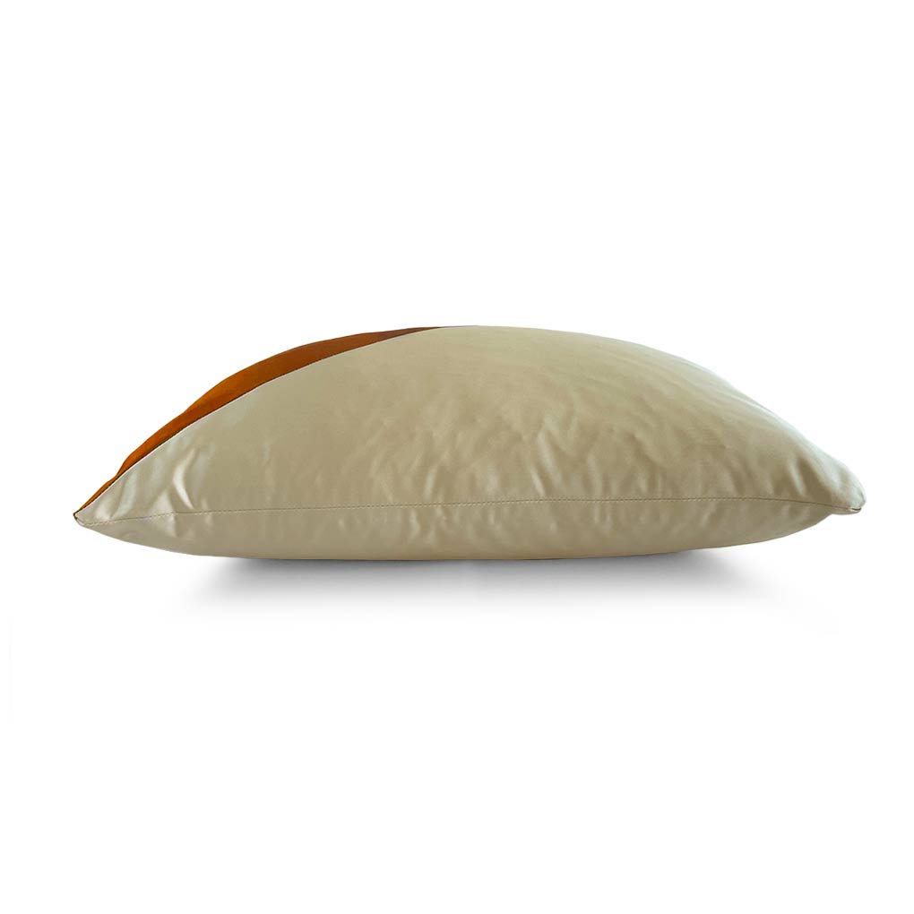 COJÍN  DG50X50 TERRA