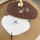 MESA DE CENTRO ALMA