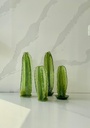 ESCULTURA CACTUS CALANGO SET X2