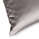 COJÍN  BE50x50 DORADO 803