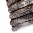 COJÍN  BE50X50 BIG WIG