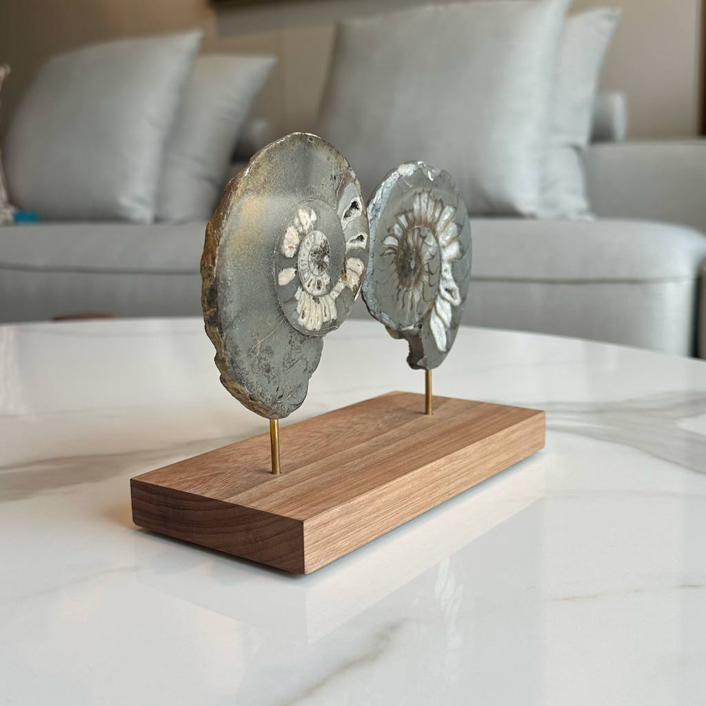 ESCULTURA AMONITAS SOBRE BASE DE MADERA