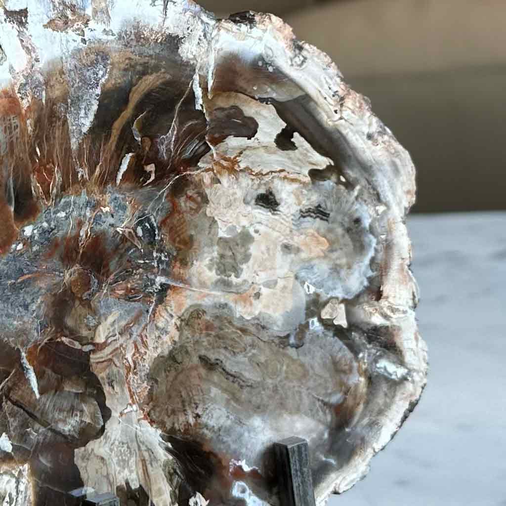 LAJA DE MADERA PETRIFICADA PULIDA CON PARANTE DE FIERRO