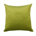 COJÍN  BE50X50 PINOT ALCHEMILLA