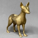 PERUVIAN DOG