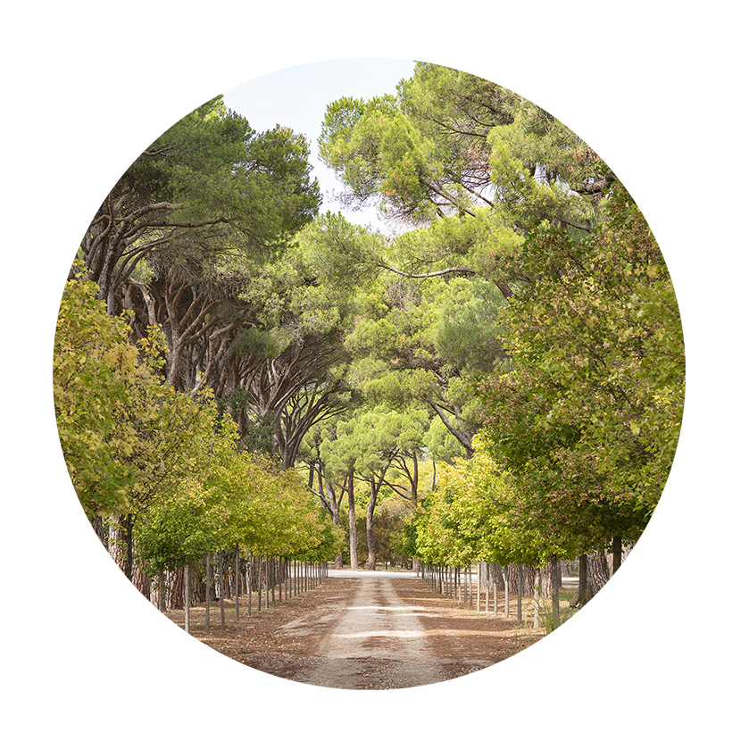 CUADRO FOTOGRAFÍA - EL ESCORIAL