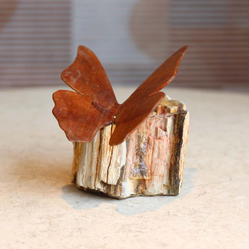 ESCULTURA METAMORFOSIS 4