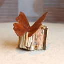 ESCULTURA METAMORFOSIS 4