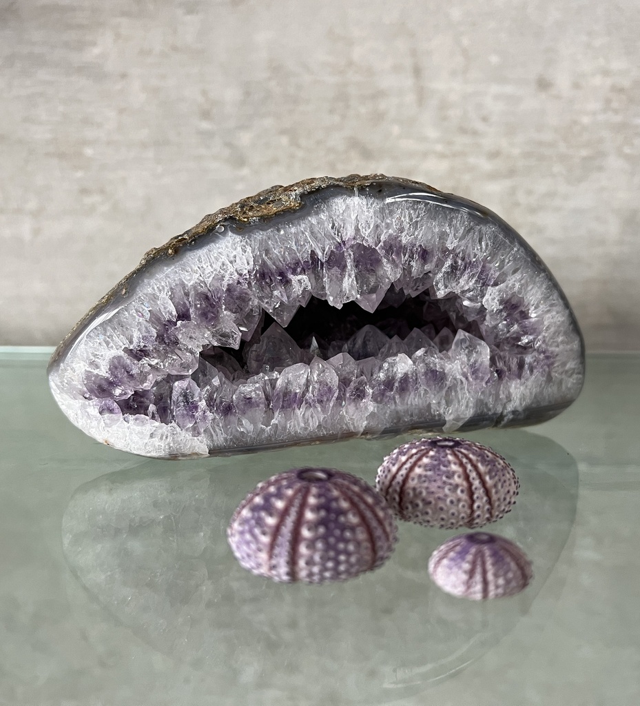 GEODA DE AMATISTA II