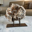 LAJA DE MADERA PETRIFICADA PULIDA CON PARANTE DE FIERRO
