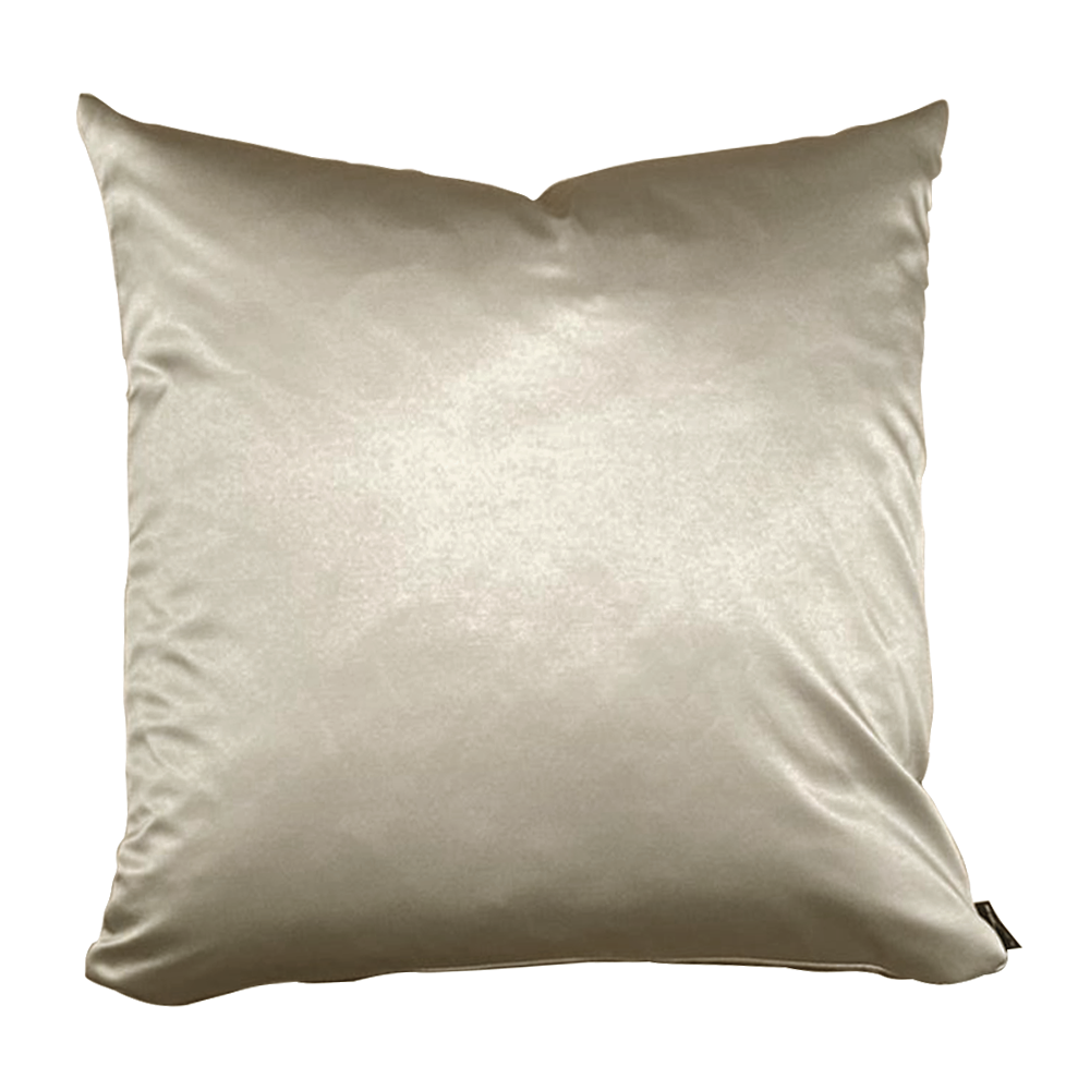 COJÍN  BE50X50 L507