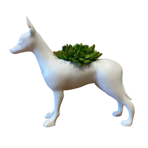 PERUVIAN DOG