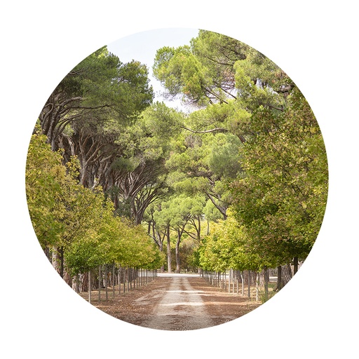 CUADRO FOTOGRAFÍA - EL ESCORIAL