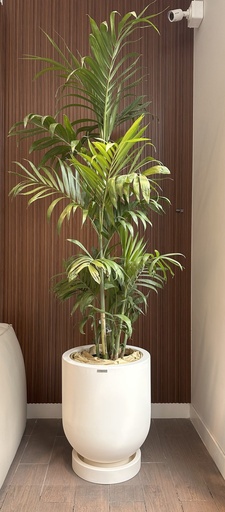 MACETA CYLINDRO 45 Y BAMBÚ