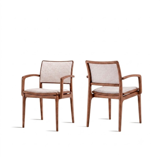 SILLA ANIS CON BRAZOS